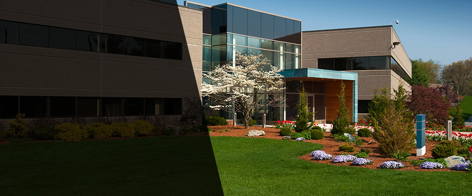 Elizabeth Landscapers